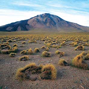 Salares, volcanes y nevados